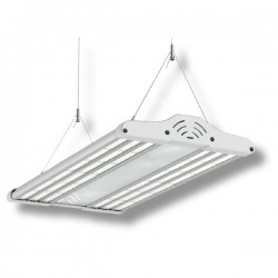 SPORTIF LIGHT